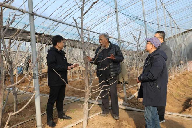 6t体育感知山东 昌邑市农业农村局组织专家指导果蔬生产(图2)