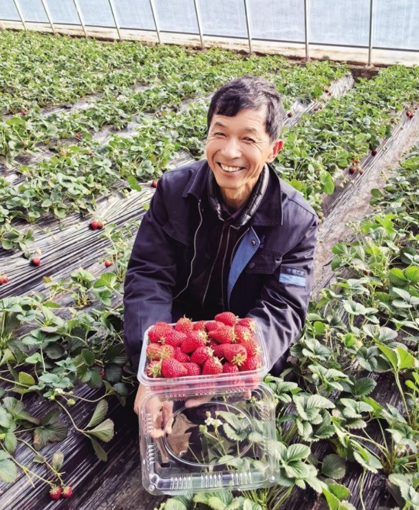 新春走基层丨年货有“团宠”——反季节果蔬销售火爆！兰州市6t体育各县区以高品质果蔬丰盈兰州人的“菜篮子”(图2)