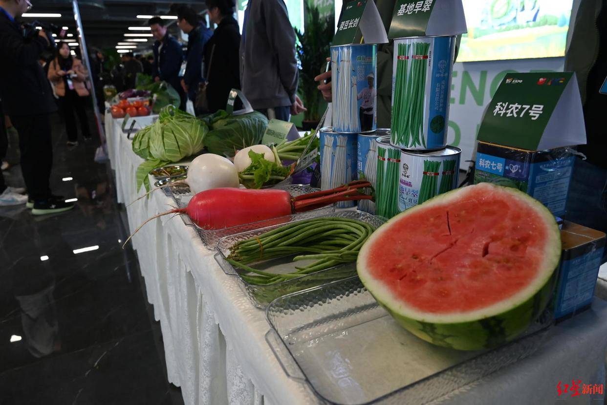 6t体育菜博会观察：蔬菜盯上“水果化”转型鲜食蔬菜为何变成新风口？(图5)