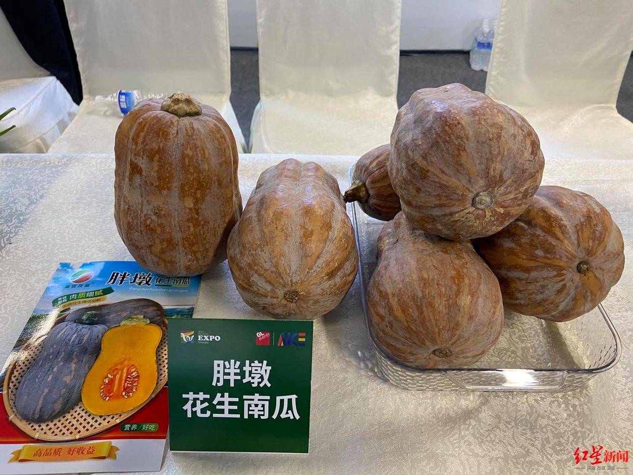 6t体育菜博会观察：蔬菜盯上“水果化”转型鲜食蔬菜为何变成新风口？(图6)